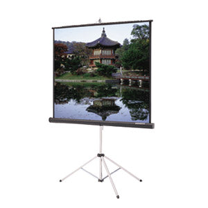 Picture King® Tripod Screen