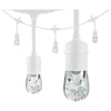 LED Cafe Lights White Cord